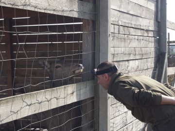 Zdjęcia ze spotkania Noc Sów w PPK 2025, 